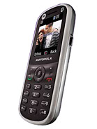 Best available price of Motorola WX288 in Iran