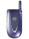 Best available price of Motorola V66i in Iran